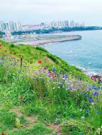 10月青島必打卡燕兒島木棧道錯峰拍照首選！