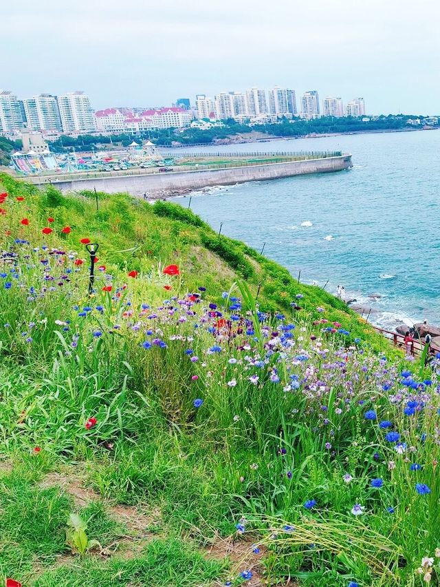 10月青島必打卡燕兒島木棧道錯峰拍照首選！