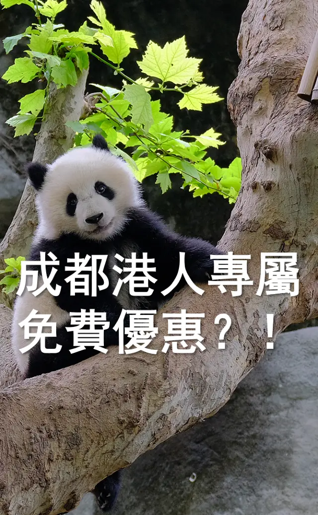 香港人專屬成都景區免費優惠？🐼