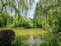 【杭州遊記】東吳文化公園打卡