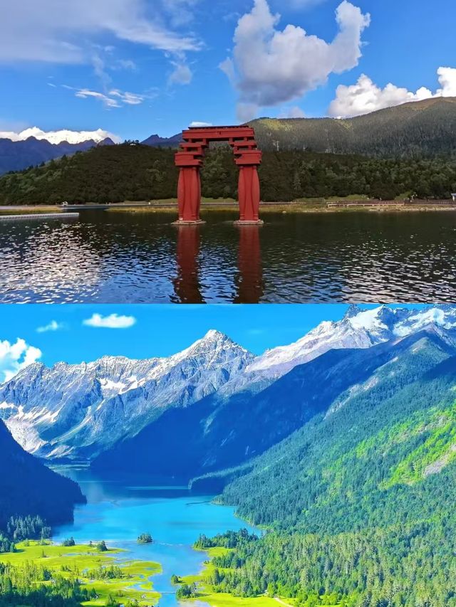 林芝已返，我的建議係…