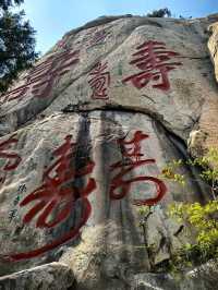 崂山一日遊