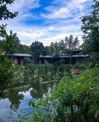 魚窩頭體育文化廣場｜廣州城中村隱藏巨無霸體育公園