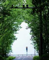 莫干山