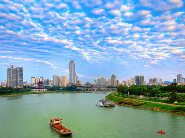 學生黨南寧之旅 學生黨南寧之旅