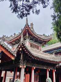 藥香不語，碑林有聲