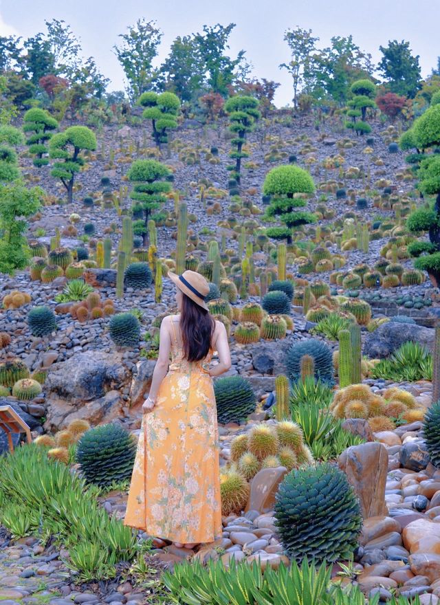彌勒太平湖瘋了！大地藝術生活節美到窒息！