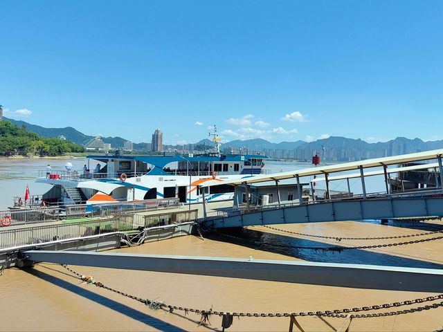杭州2h直達這座冷門寶藏小島美到窒息|||來溫州，見山上島
