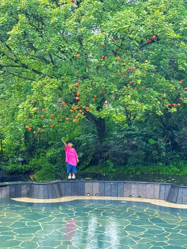 Chengdu Surroundings Staycation | A Parent-Child Hidden Gem I'm Reluctant to Share