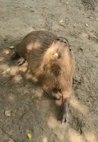 沒想到你是這麼好玩的旅遊荒漠