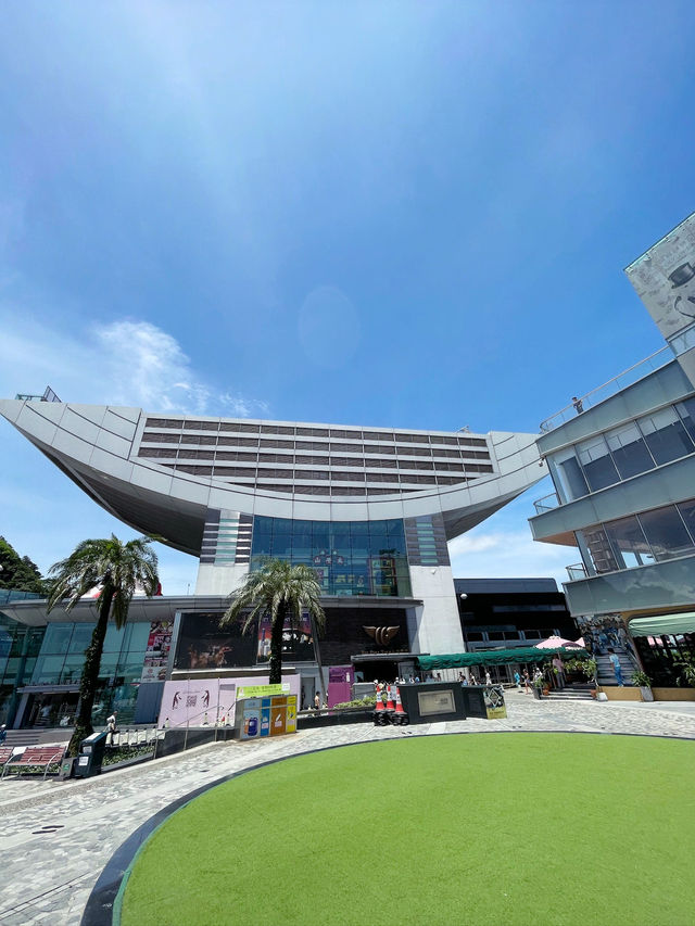 Hong Kong Panorama🏙️