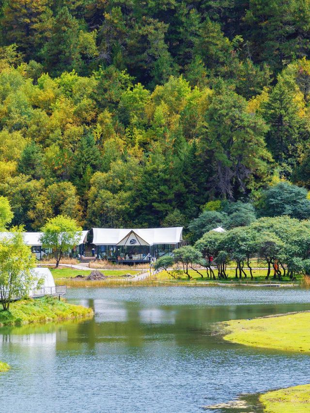 爆火香格里拉10-11月秋色絕了錯過再等一年 爆火香格里拉10-11月秋色絕了錯過再等一年