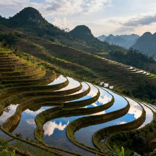 藏在上林的25℃秘境：徐霞客眷戀54天的長壽鄉，比桂林清靜
