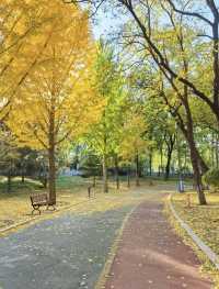 沈陽秋日私藏路線:將北國的溫柔融入旅途