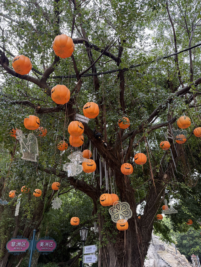 Shenzhen Day Trip Itinerary Shenzhen Day Trip Itinerary