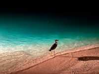 Stunning Scenery and Exceptional Service in Dhigu