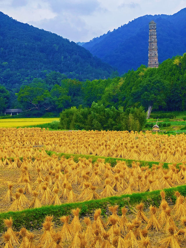 這個秋天總要去趟國清寺吧