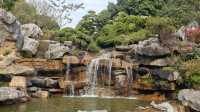 花開時節最浪漫東莞植物園
