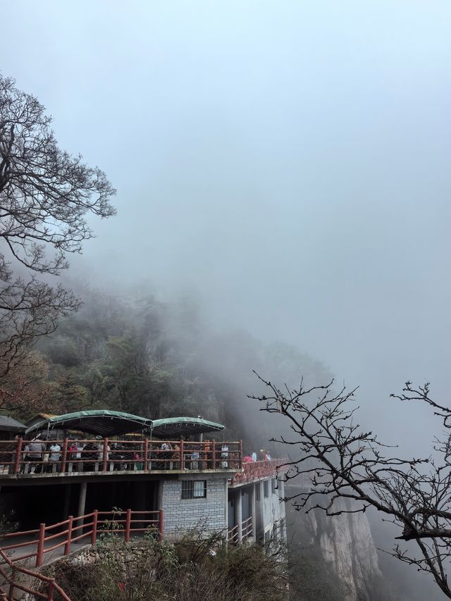 老君山尋仙記