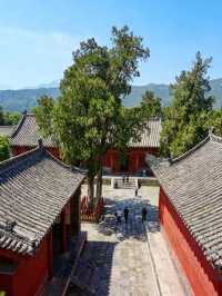 南陽4日遊 | 臥龍崗與丹江大觀苑經典組合・全人群適配攻略