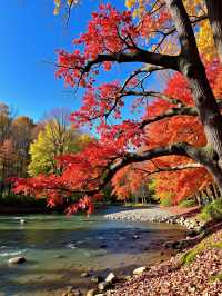 日光紅葉，秋日限定