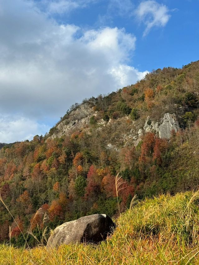 去南黃古道，抓住最後的秋天