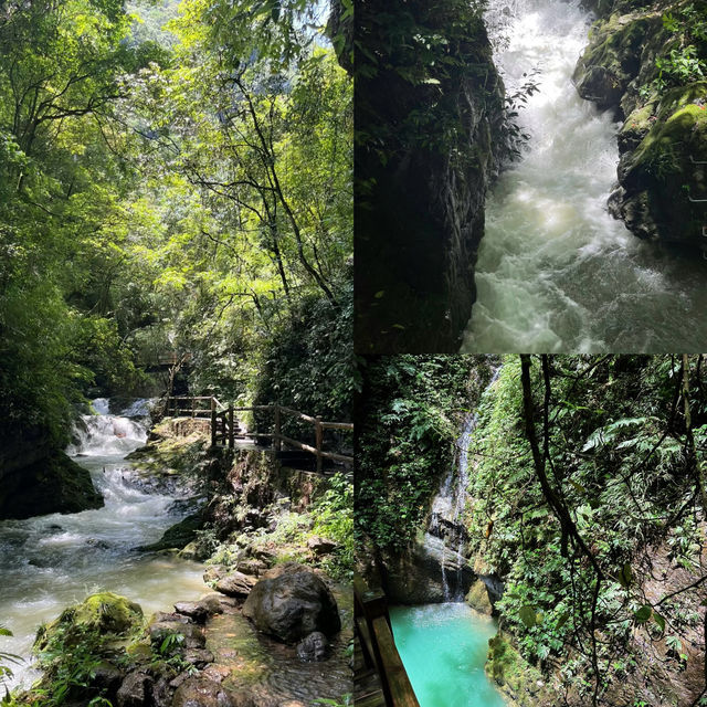 【重慶黑山谷｜夏日清涼秘境全攻略】