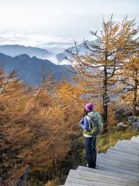 秋日太白山每一步都走在秦嶺的金色油畫裡