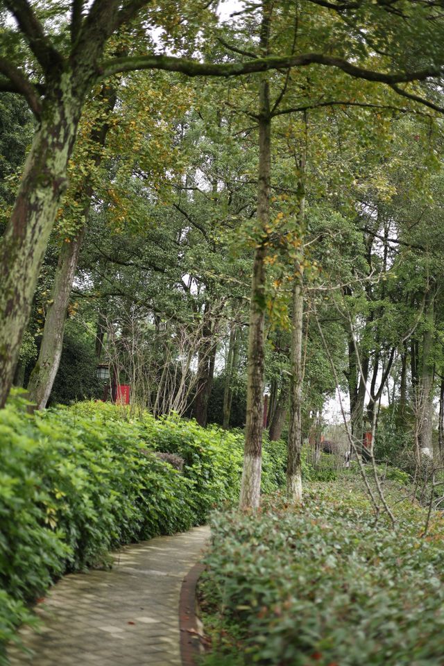 小平故居之旅