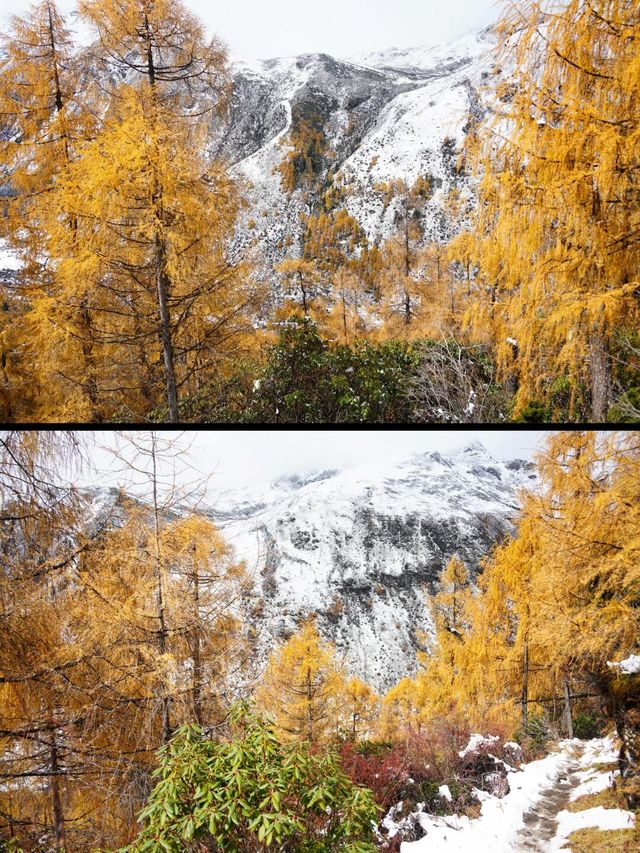 川西秘境：瑪嘉溝10月進階賞秋登頂指南