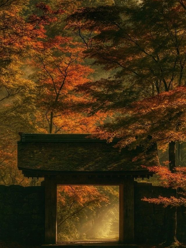 2025年日本超強紅葉攻略