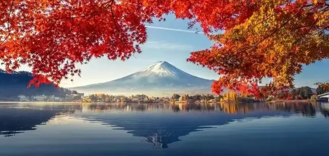 Enjoy the views of Mount Fuji in all four seasons, and let's admire the autumn leaves together!