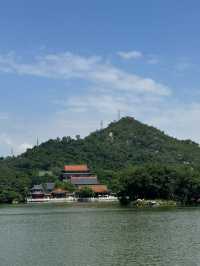 珠海拔草機！景山公園360°俯瞰港珠澳大橋