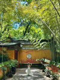 天台山茶香秋色遊