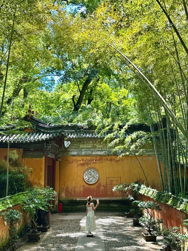 天台山茶香秋色遊
