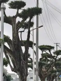 成都週末反向旅遊