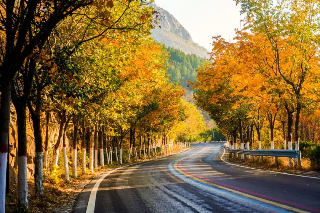 The best time to enjoy the autumn colors at Yunmeng Mountain