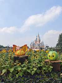 Как пользоваться картой «МИР» при поездке в Китай