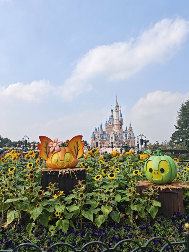 Как пользоваться картой «МИР» при поездке в Китай