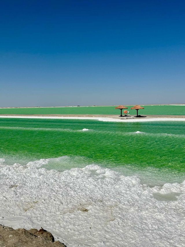 這趟旅程美得不像話剛結束西北8日遊 這趟旅程美得不像話剛結束西北8日遊