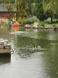 雨潤大觀.翠影浮光