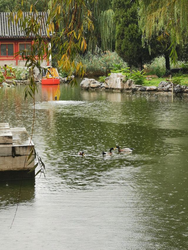 雨潤大觀.翠影浮光 雨潤大觀.翠影浮光