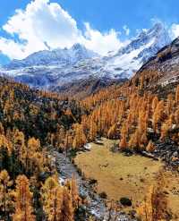 藏在川西深處的秘境！黨嶺3天2夜，解鎖少有人知的極致浪漫