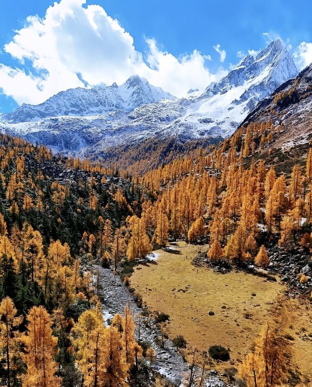 藏在川西深處的秘境！黨嶺3天2夜，解鎖少有人知的極致浪漫