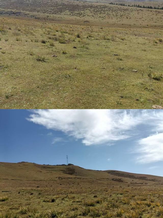 甘南秘境：當周草原的四季變幻