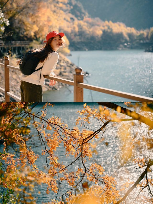 來回9小時，值回票價到喊晒！松坪溝嘅秋天簡直係神級啦