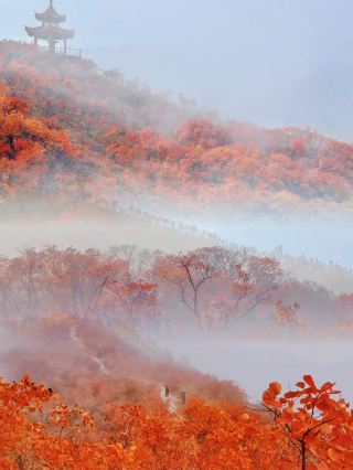 The complete guide to the mountains covered in red leaves, Changshou Mountain & Qinglong Mountain, is here!!!