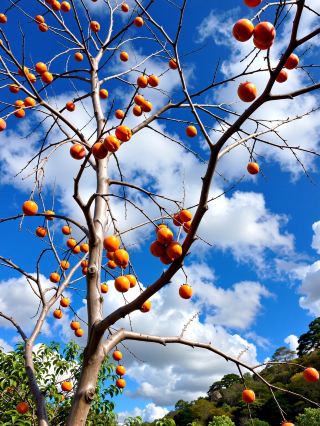 Escape the hustle and bustle｜Encounter the landscape paintings of Tang poetry at Nanxi River