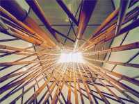 不用追著鳥群跑，這家酒店直接把「候鳥天堂」端到你窗邊