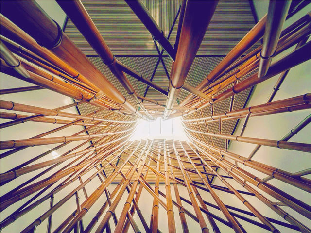 不用追著鳥群跑，這家酒店直接把「候鳥天堂」端到你窗邊